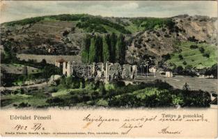 1902 Pécs, Tettye a romokkal. Fischer Henrik kiadása (EK)