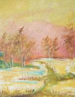 Mednyánszky jelzéssel: Őszi táj. Olaj, karton. 56x46 cm