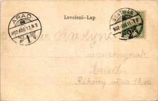 1902 Szatmárnémeti, Szatmár, Satu Mare; Igazságügyi palota. Lővy M. kiadása, szecessziós-lóherés lit...