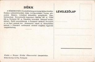 Lillafüred (Miskolc), Szépségével elbűvöl a vadregényes Bükk. A Magyar Királyi Államvasutak (MÁV) tu...