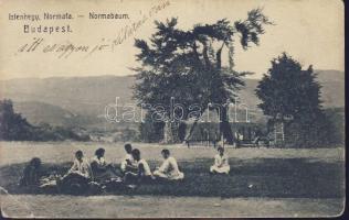 Budapest XII. Normafa (EB)