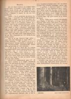 [Folyóirat] Magyar Lányok. Képes hetilap fiatal leányok számára. Szerkeszti Tutsek Anna. Megjelen mi...