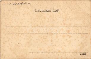 Gyepűfüzes, Gyepű-Füzes, Gornji Fides, Kohfidisch; Gór Erdődy kastély, fő oldal, déli oldal. Wagner ...