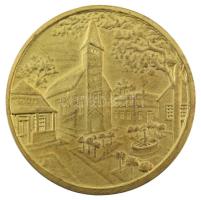 Berán Lajos (1882-1943) ~1920. "Az érdem elismeréséül - A ,,Falu" Országos Szövetség"...