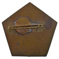 1972. "Kommunista szombat - CsMV - Csepel Vas és Fémművek" műgyantás fém jelvény (30x31mm)...