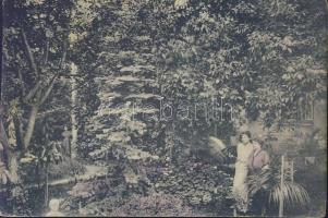 Tahi Maricza villa kert (wet damage)