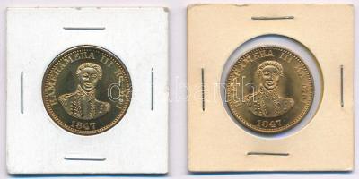 Hawaii 1847. 1c aranyozott fém utánveret (2xklf) "SOUVENIR DASCO - OF HAWAII" + "SOUVENIR ALII" jelzéssel T:UNC Hawaii 1847. 1 Cent gilt metal restrike (2x) with "SOUVENIR DASCO - OF HAWAII" mark C:UNC