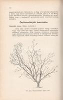 Mahács Mátyás: 
Gyümölcstermesztés és értékesítés. A M. Kir. Földmívelésügyi Minisztérium megbízásá...