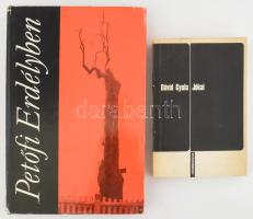 Dávid Gyula 2 műve:  Jókai. Emberek, tájak, élmények Jókai erdélyi tárgyú műveiben. Kolozsvár, 1971, Dacia. Kiadói papírkötés.;  Dávid Gyula - Mikó Imre: Petőfi Erdélyben. Bukarest, 1972, Kriterion. Első kiadás. Kiadói egészvászon-kötés,kiadói papír védőborítóban.