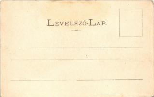 Stószfürdő, Stoósz-fürdő, Kúpele Stós; nyaralók. Wlaszlovits Gusztáv 1056. / villas