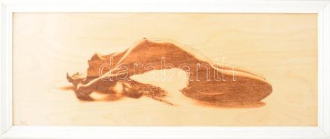 Völgyi Sándor (1949-2013): Női akt. Elektrográfia, rétegelt falemez, jelezve balra lent. Hátoldalán autográf felirattal. Fakeretben. 28x73 cm