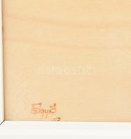 Völgyi Sándor (1949-2013): Női akt. Elektrográfia, rétegelt falemez, jelezve balra lent. Hátoldalán ...