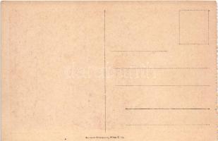 Kézdivásárhely, Targu Secuiesc; Cesarz i król Karol / Károly császár és király látogatása, képeslapf...