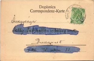 Sarajevo, Alifakovac Gasse. Verlag von Daniel A. Kajon / street, mosque (fl)