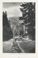 Erdélyünk és honvédségünk. Történelmi eseménysorozat képekkel. Dr. vitéz Béry László és mások közrem...