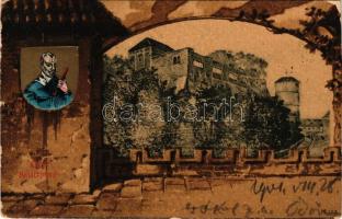 1901 Cheb, Eger; Kaiserburg / castle, Albrecht von Wallenstein. Art Nouveau, litho frame (worn corners)