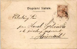 Cesky Brod, Böhmisch Brod; Sokolna, Husovo námestí, Kourimská brána, Hradby, Obcanská zálozna / Soko...