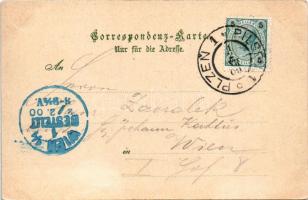 1900 Plzen, Pilsen; Totalansicht / general view. Verlag J. Herrmann Art Nouveau, litho (EK)