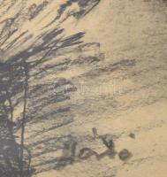 Olvashatatlan jelzéssel: Arckép. Szén, papír. Üvegezett, dekoratív fakeretben. 44,5×34,5 cm