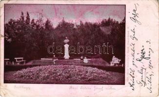 1901 Budapest XII. Svábhegy, Báró Eötvös József szobor. Biró Albert műintézete kiadása (szakadás / tear)