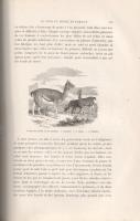 Brassey, [Anna Allnutt]:
Le tour du monde en familie. Voyage de la famille Brassey dans son yacht L...