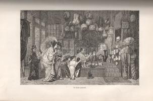 Brassey, [Anna Allnutt]:
Le tour du monde en familie. Voyage de la famille Brassey dans son yacht L...