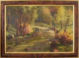 Jelzés nélkül: Napfényes erdő. Olaj, karton. Keretben 23×33 cm