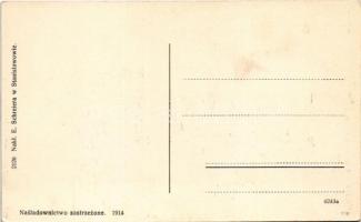 Halych, Halicz, Halics; Statki na Dniestrze. E. Schreiera / steamship on Dniester river (wet damage)