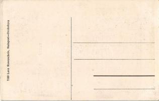 Stryi, Stryj, Strij; Rynek, Ulica Zygmunta Krasinskiego, Gmach Sokola, Dworzec kloejoey, Ulica, Pomn...