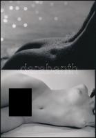 "Részletek a női test szépségéről", eltérő időben készült, szolidan erotikus felvételek, 2 db modern nagyítás, jelzés nélkül, 15x21 cm