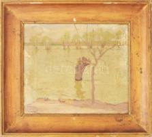 Mihalik Dániel (1869-1910): Árad a Tisza. Olaj, vászon, jelezve balra lent. Hátoldalán autográf felirattal. Felületi sérülésekkel. 25x30 cm