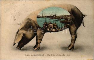 Marseille, le Port / bridge, port, montage with pig (EB)