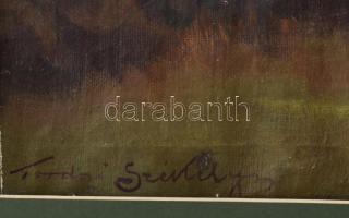 Tordai Székely Mihály (1890-1940): Virágzó park. Olaj, vászon, jelzett. Sérült. Dekoratív, kissé sér...