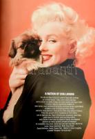 Tommy Hilfiger - George Lois: Iconic America. A Roller-Coaster Ride through the Eye-Popping Panorama...