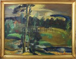 Nagy B. István (1933-2006): Táj. Olaj, vászon, jelezve balra lent. Hátoldalán autográf felirattal és Képcsarnok Vállalat címkéjével. Dekoratív fakeretben. 60x80 cm