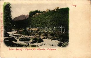 Tatry, Tátra; Dolina Bystréj i Kaplica Br. Albertów / valley with chapel (fl)