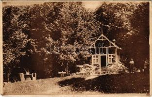 Szovátafürdő, Baile Sovata; Statiune Balneo-Climaterica Locuinta Pustnicului / spa, villa (EB)