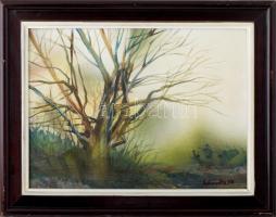 Dobrovits Ferenc (1941-1988): Öreg fa. Olaj, farost. Jelezve jobbra lent. Hátoldalán autográf felirattal és Képcsarnok Vállalat címkéivel. Fakeretben. 30x40 cm