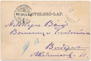 1902 Szászfenes, Floresti, Fenes; kúria, villa. A képeslap címzettje: báró Bornemissza Tivadarné Jós...