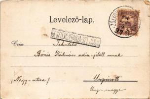 1901 Besztercebánya, Banská Bystrica; Urpin részlet a Garammal, híd. Lechnitzky O. fénynyomdája 51. ...