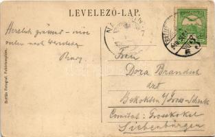 1910 Fehértemplom, Ung. Weisskirchen, Bela Crkva; Vendelin utca, Marzi utca, Anton Weinhöpl üzlete. ...