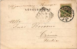 1901 Budapest VIII. Baross utca, Üllői út, Kálvin tér, gyógyszertár, Magyar Fém és Lámpaárugyár, ven...