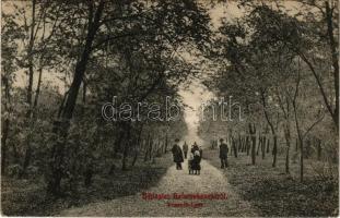 1911 Balatonkenese, Kossuth liget. Rosenthal Dávid kiadása + "TAPOLCZA - BUDAPEST 394" sz. vasúti mozgóposta bélyegző (ázott sarok / wet corner)