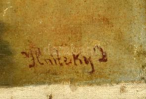 Ilnitzky Imre (?-?), működött a XX. sz. első felében: Mosónők. Olaj, vászon, jelzett, sérült, vakrám...