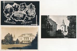 Barstaszár, Tesáre nad Zitavou (Taszármalonya, Tesárske Mlynany) - 1 db RÉGI fotó és 2 MODERN képeslap vegyes minőségben: Ambrózy-Migazzi kastély, arborétum, park / 1 pre-1945 photo and 2 modern town postcards: castle, arboretum, park, in mixed quality