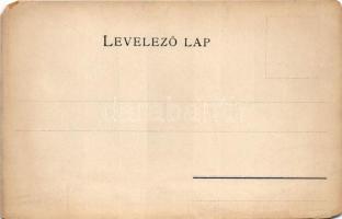 Békés vármegye térképe. Károlyi Gy. kiadása / Map of Békés county (EM)