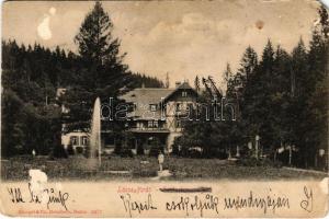 1906 Lőcsefüred, Lőcse-fürdő, Levocské Kúpele (Lőcse, Levoca); szálloda, fürdő. Stengel &amp; Co. (Dresden) / hotel, villa (EM)