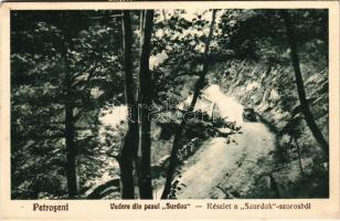 1934 Petrozsény, Petroseni, Petrosani; Vedere din pasul Surduc / részlet a Szurduk szorosból, automobil (EK)