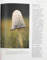 Antonio Carluccio: Gombák könyve. 103 recepttel. Alastair Hendy. [Bp., 2005.], Saxum, 224 p. Szép, g...