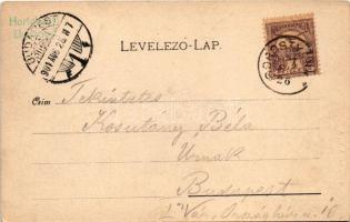 1901 Borostyánkő, Bernstein; utcakép, vár, Máger József üzlete. Verlag von A.P. Nr. 331. / street, c...